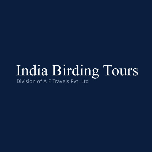 India Birding Tours